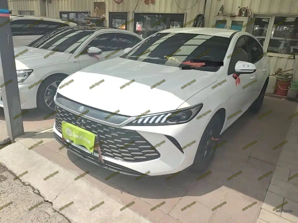 BYD Qin PLUS 2025