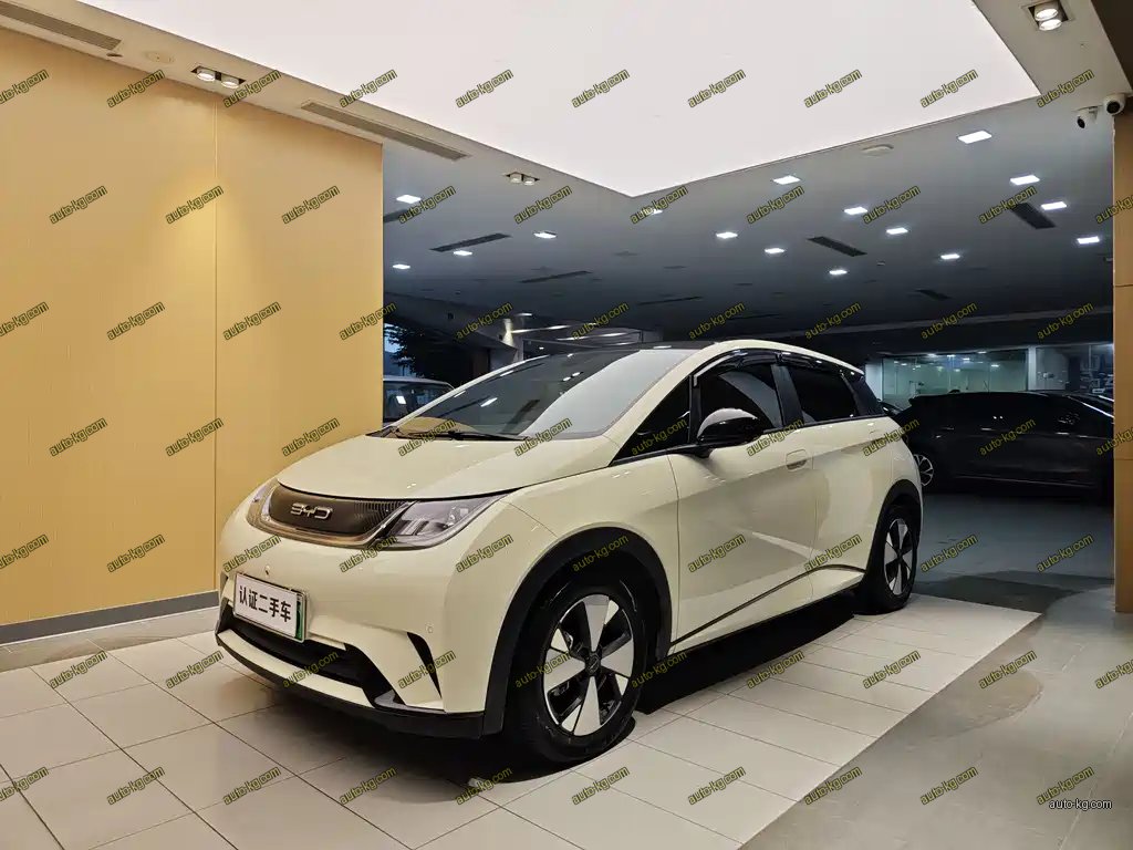 BYD Dolphin 2023
