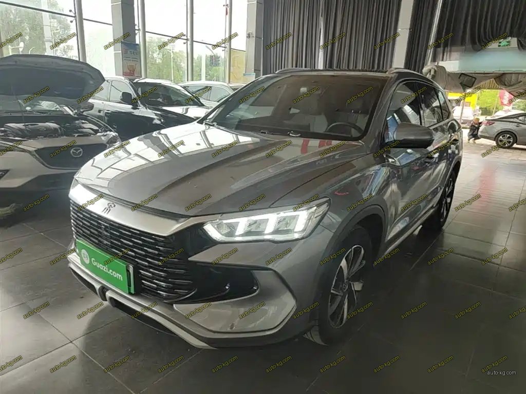 BYD Pro New Energy 2024