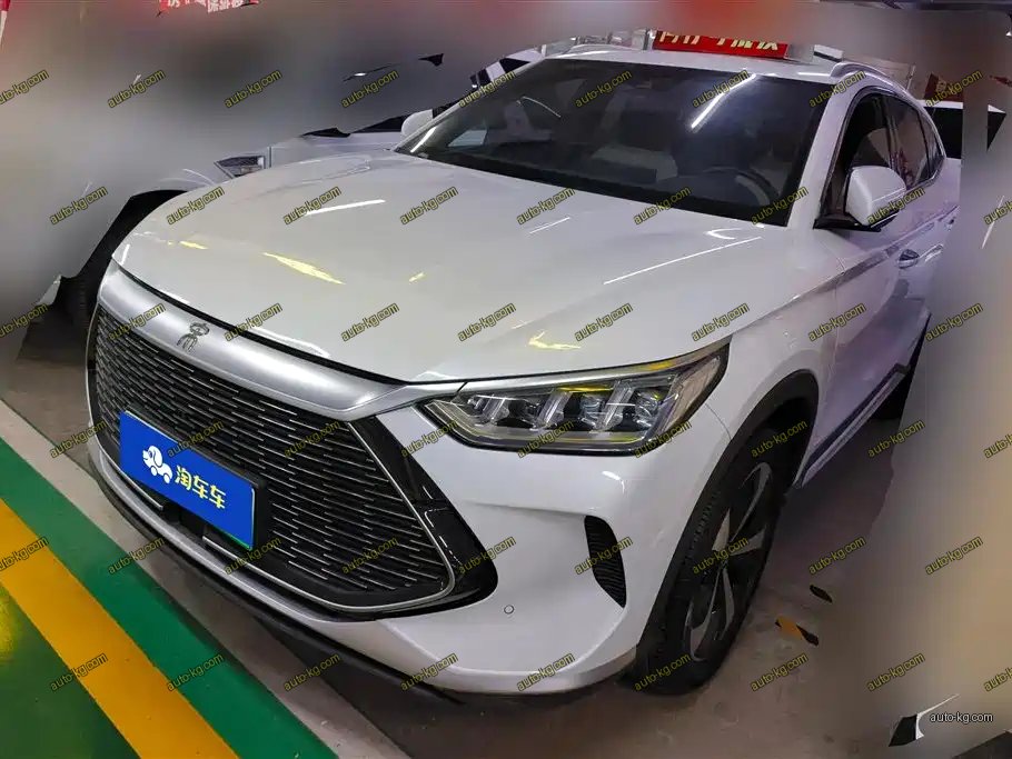 BYD PLUS New Energy 2022