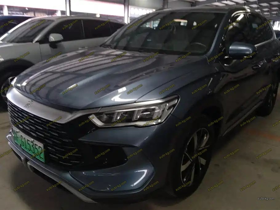 BYD Pro New Energy 2024