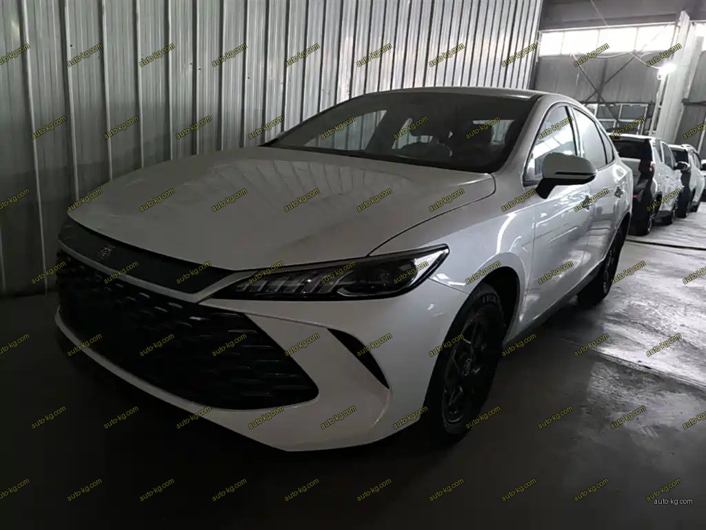 BYD Qin PLUS 2026