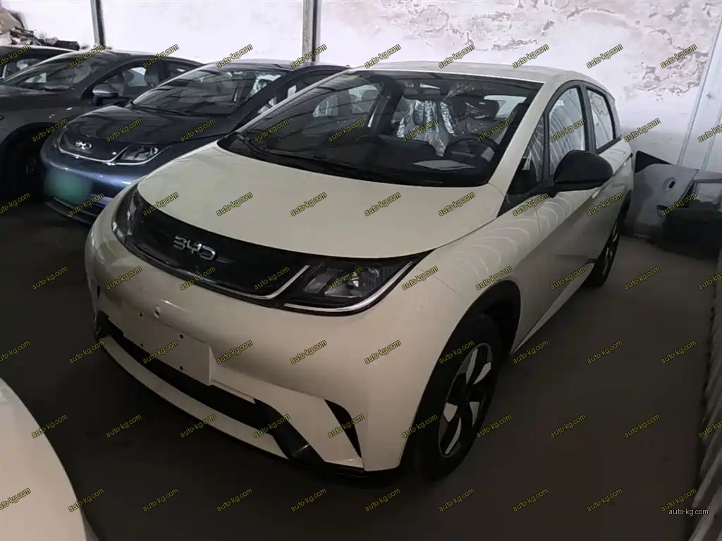 BYD Dolphin 2026