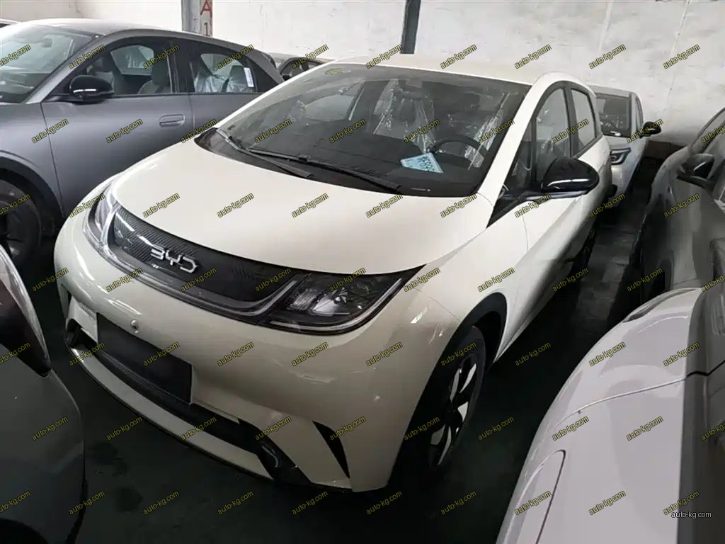 BYD Dolphin 2026