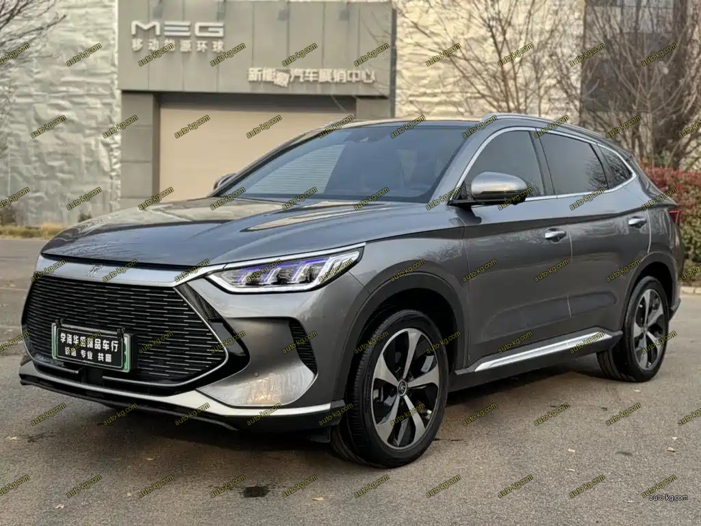 BYD PLUS New Energy 2022