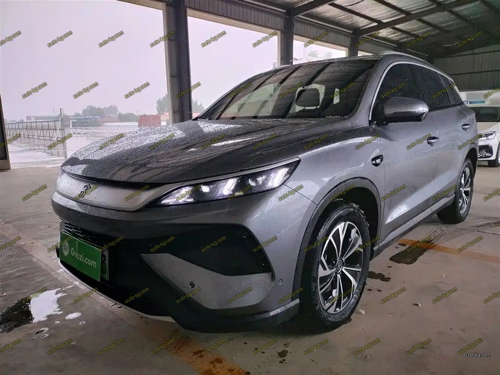 BYD Pro New Energy 2025