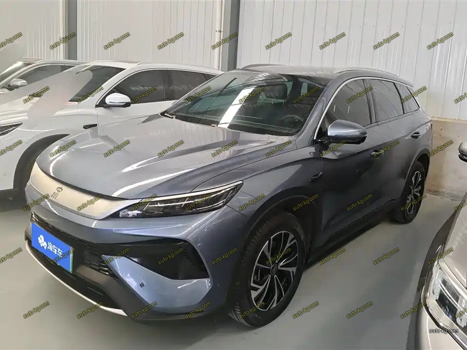 BYD Pro New Energy 2025