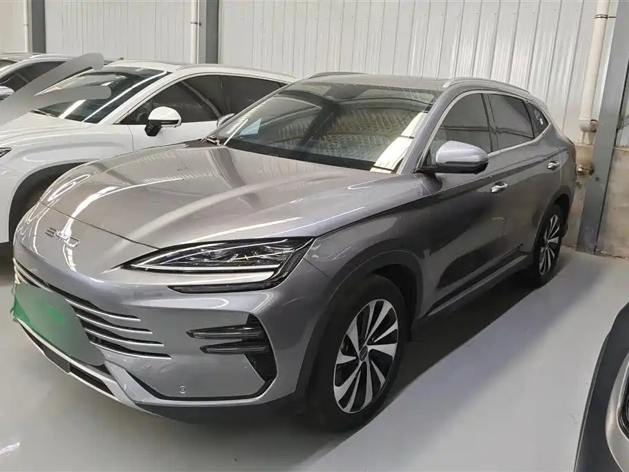 BYD PLUS New Energy 2024
