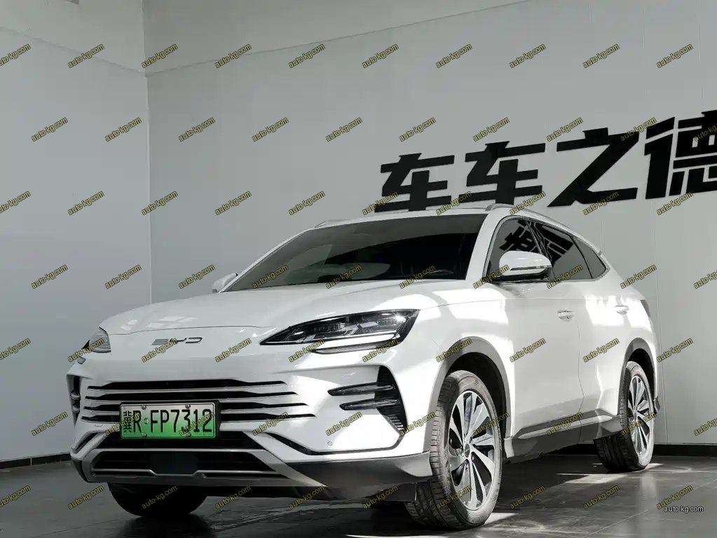 BYD PLUS New Energy 2024