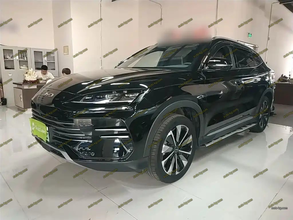 BYD PLUS New Energy 2024