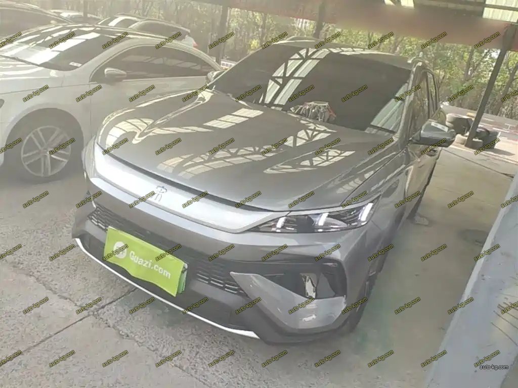 BYD Pro New Energy 2026