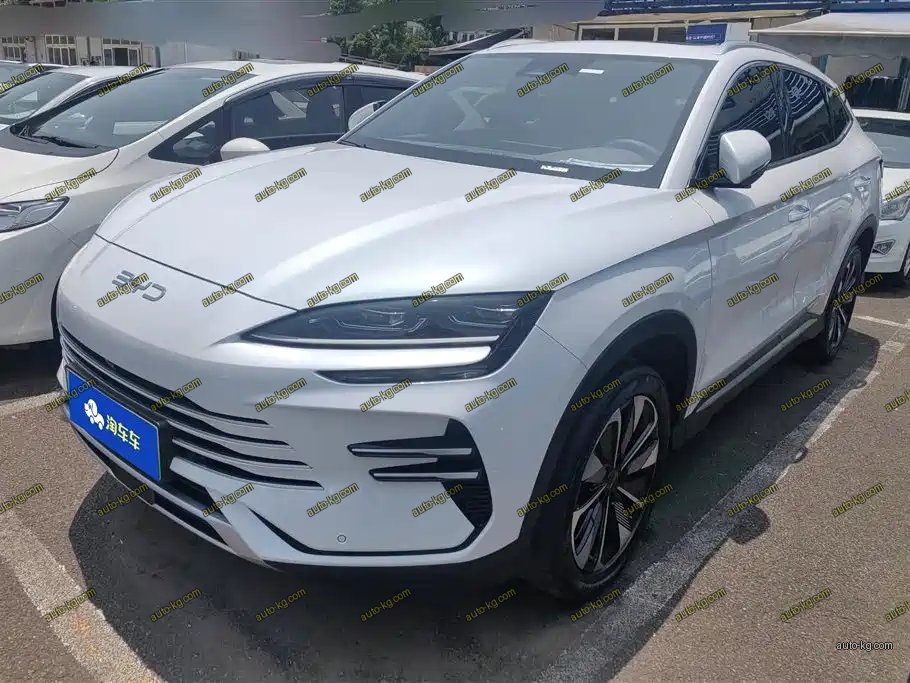 BYD PLUS New Energy 2024