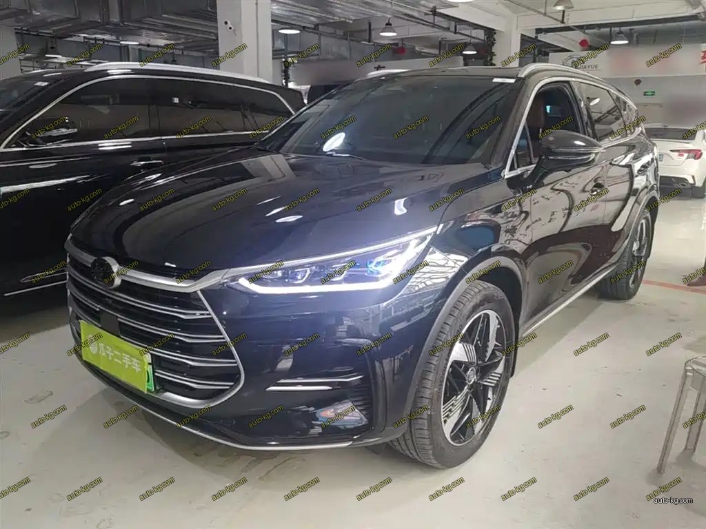 BYD Tang New Energy 2024