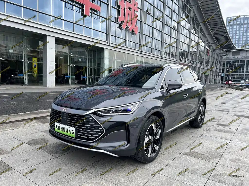 BYD Tang New Energy 2024