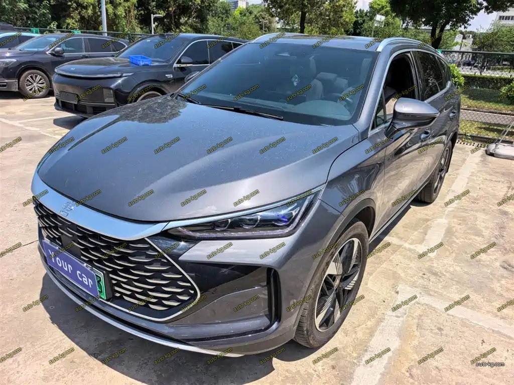 BYD Tang New Energy 2024