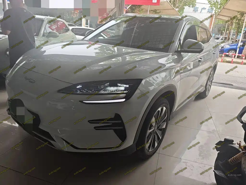 BYD PLUS New Energy 2024