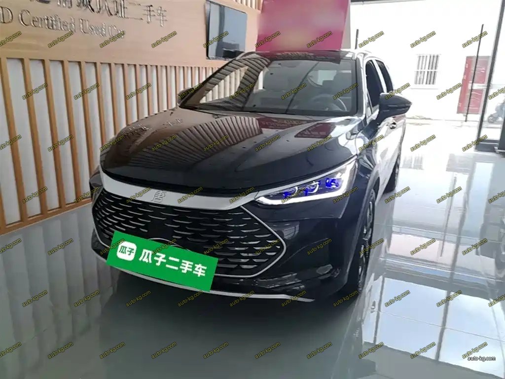 BYD Tang New Energy 2024