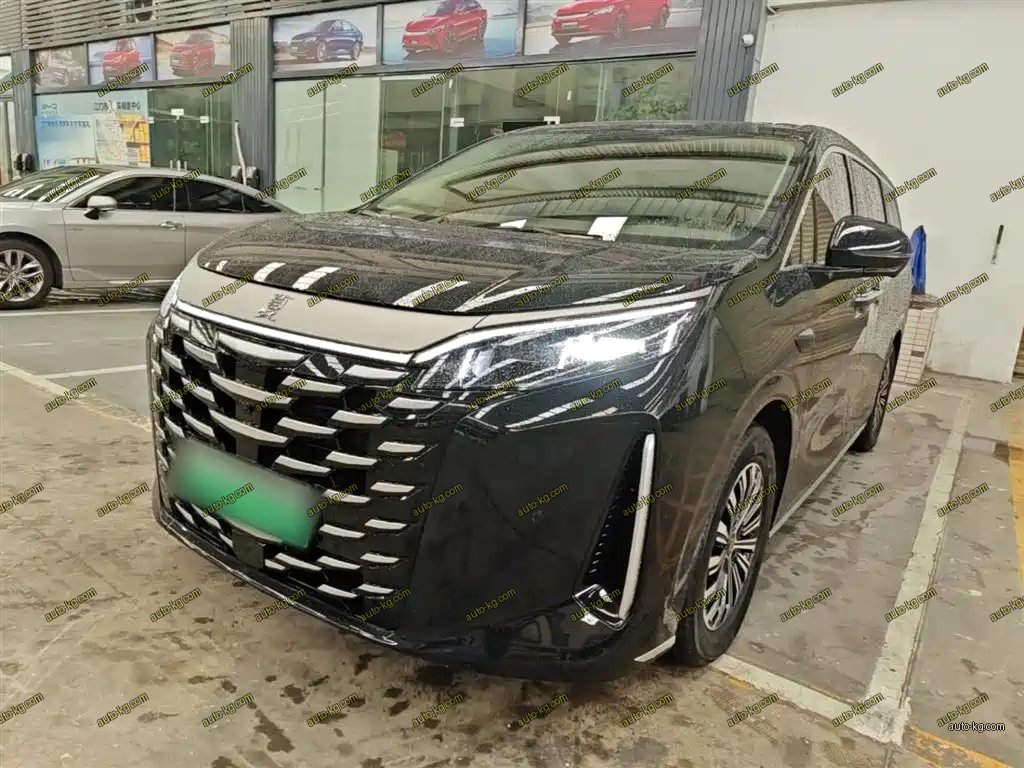 BYD Xia 2025