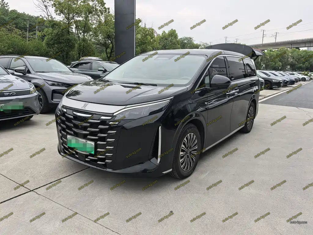 BYD Xia 2025