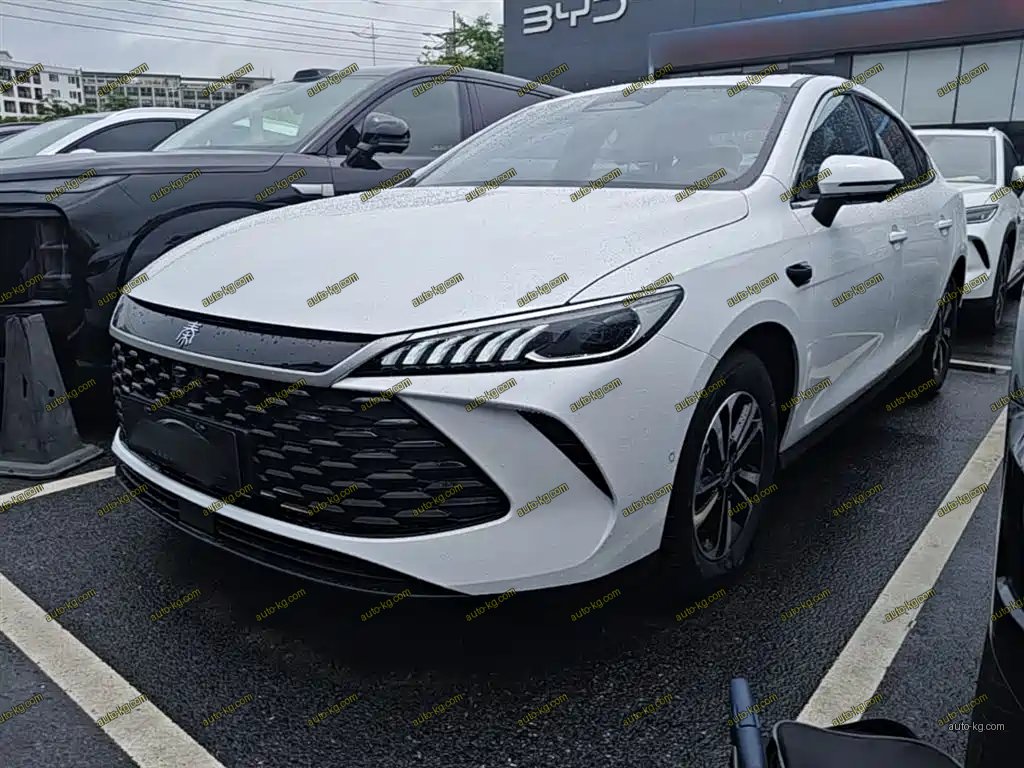 BYD Qin PLUS 2025
