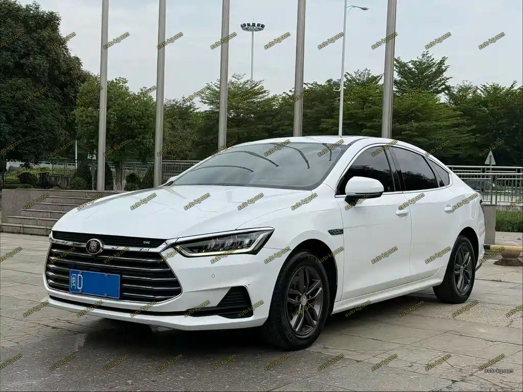 BYD Qin Pro 2020