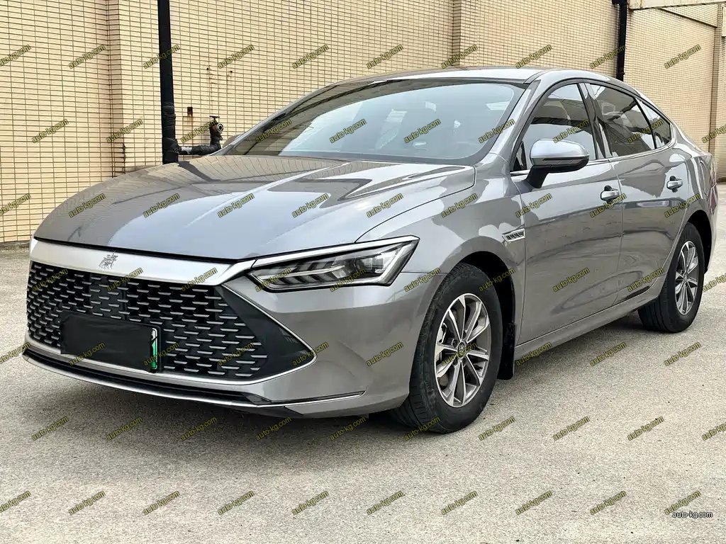 BYD Qin PLUS 2024