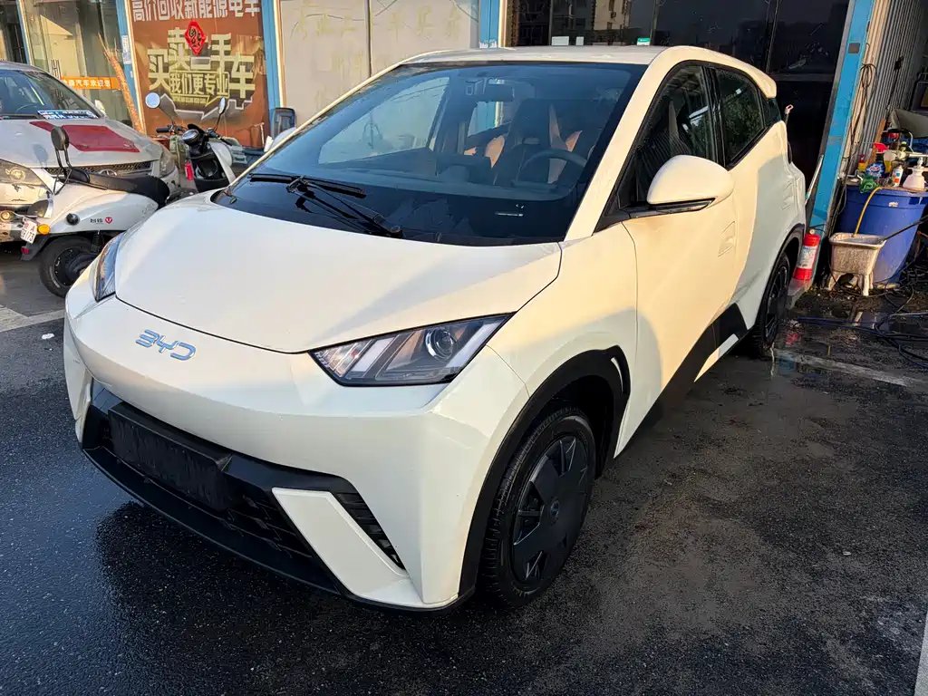 BYD Seagull 2024