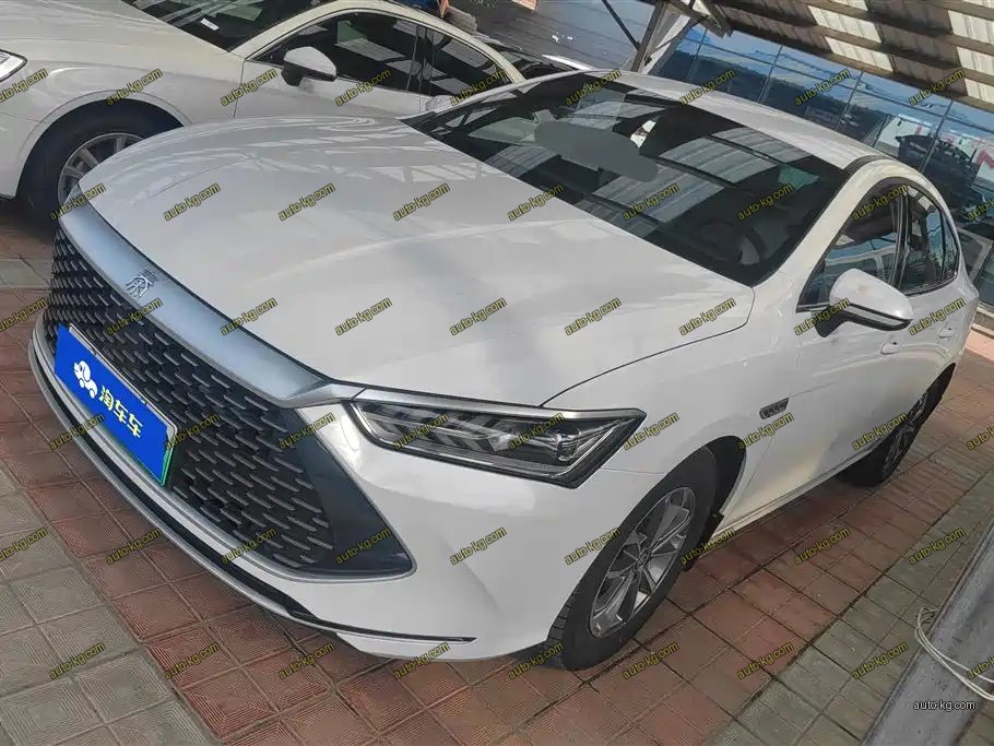 BYD Qin PLUS 2024