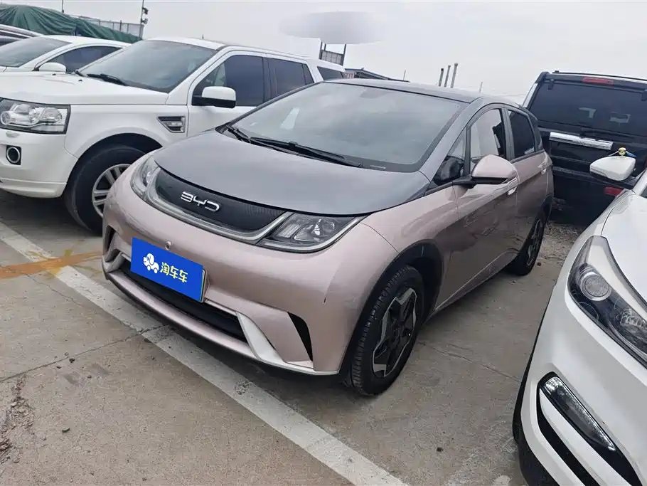 BYD Dolphin 2022