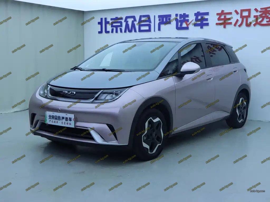 BYD Dolphin 2022