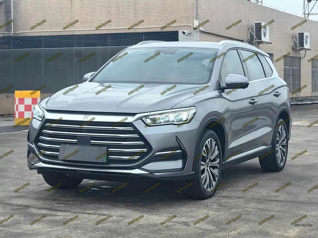 BYD Pro New Energy 2022