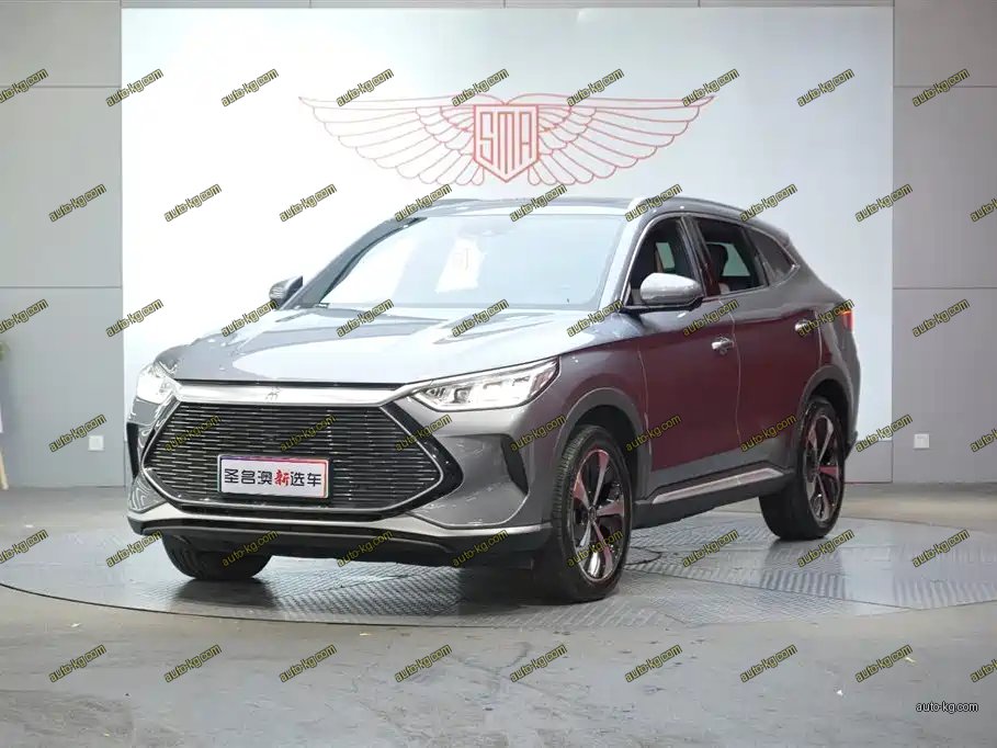 BYD PLUS New Energy 2021