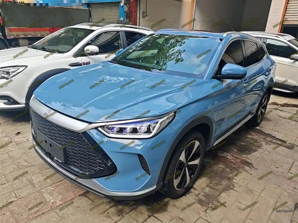 BYD PLUS New Energy 2021
