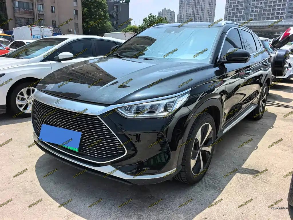 BYD PLUS New Energy 2022