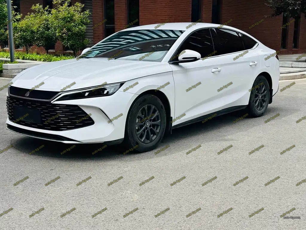 BYD Qin L 2024