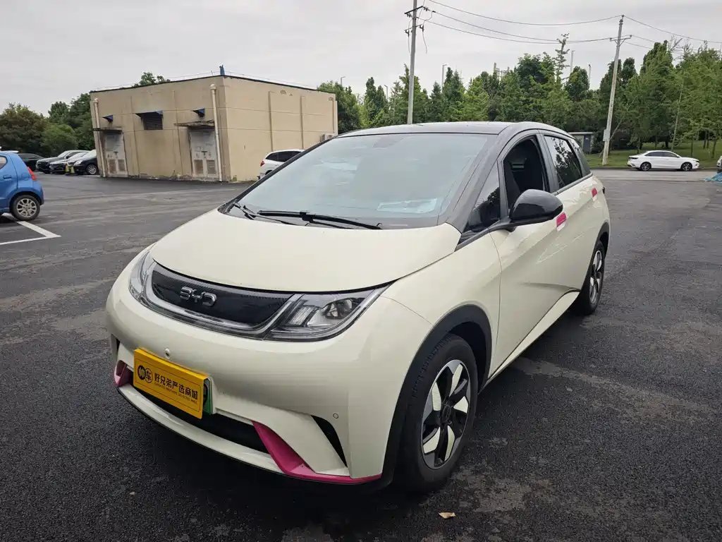 BYD Dolphin 2024