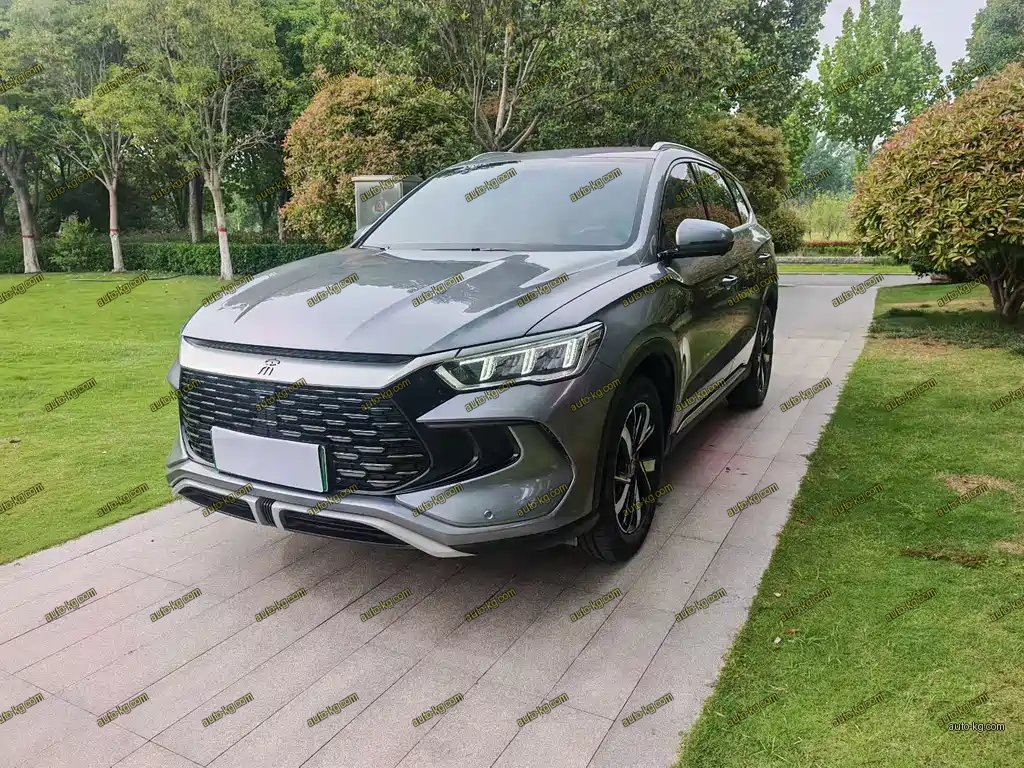 BYD Pro New Energy 2024