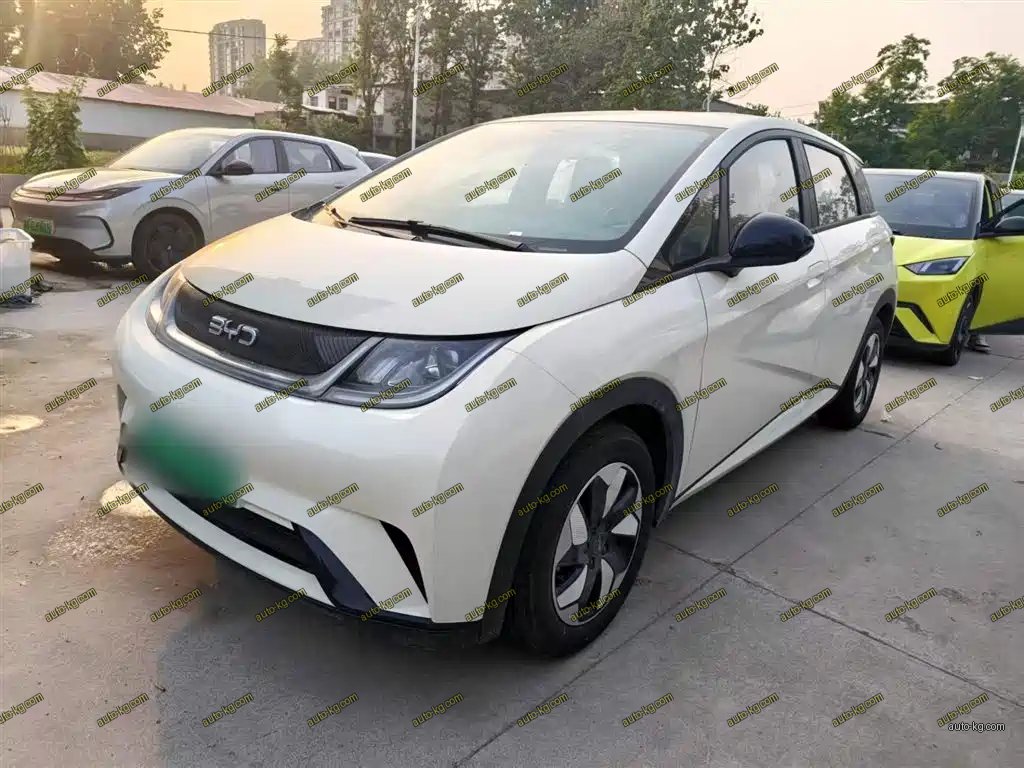 BYD Dolphin 2026