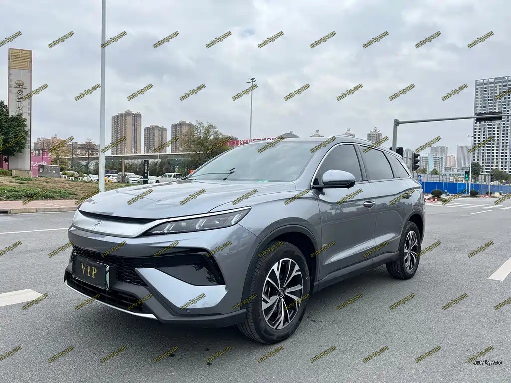 BYD Pro New Energy 2024