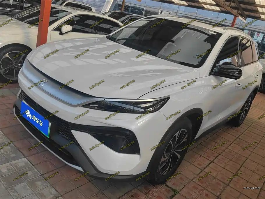 BYD Pro New Energy 2024