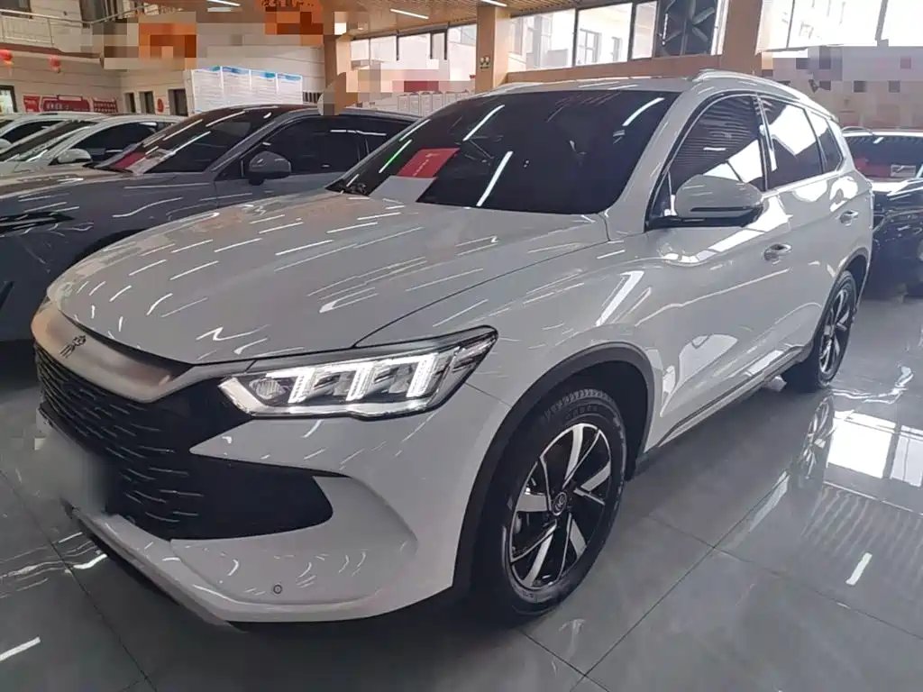 BYD Pro New Energy 2024