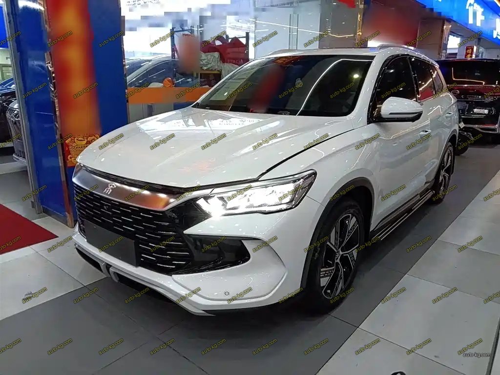 BYD Pro New Energy 2023