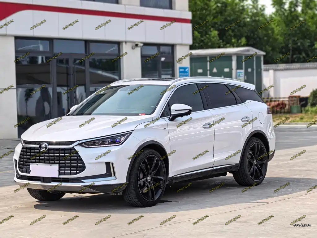 BYD Tang New Energy 2021
