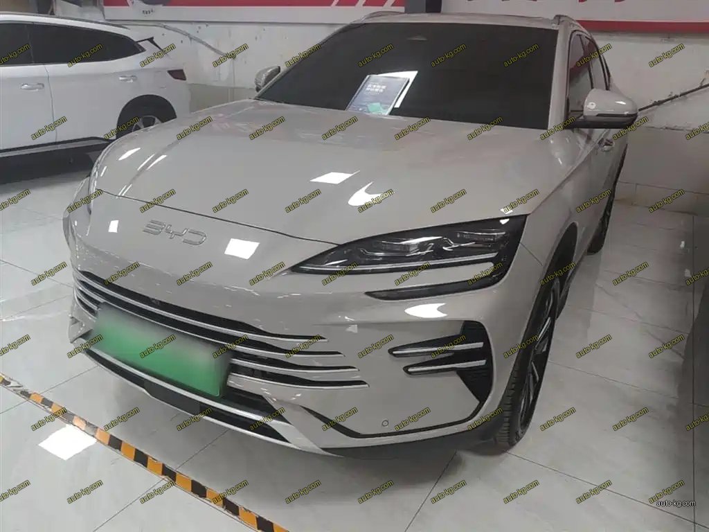 BYD PLUS New Energy 2024