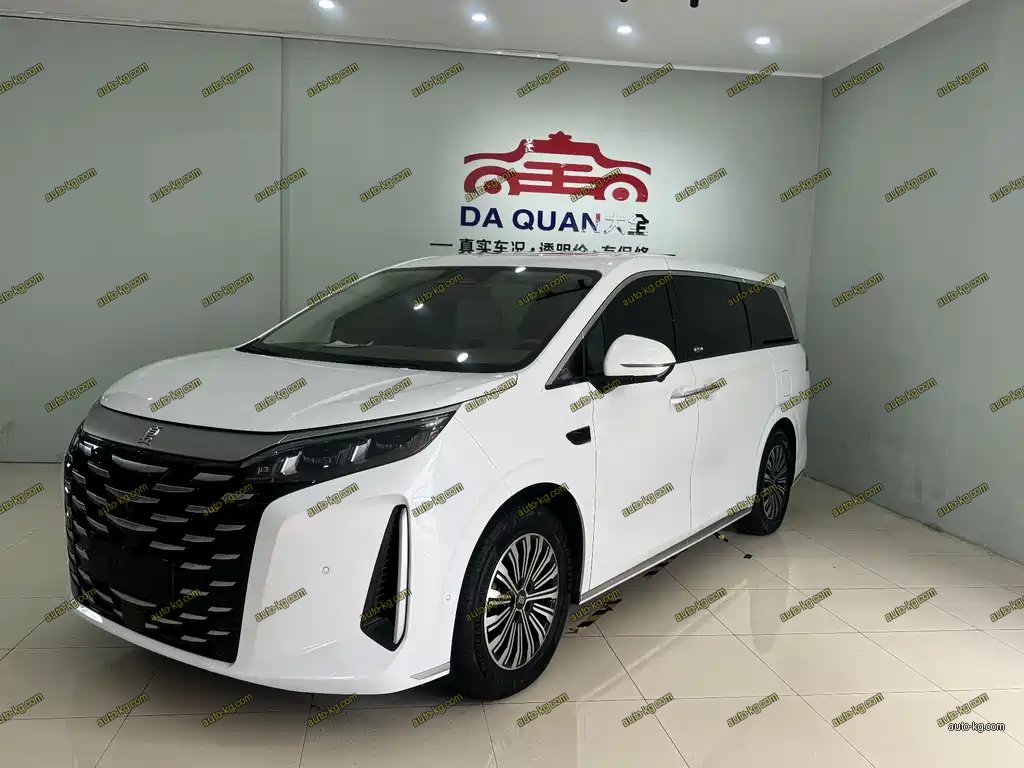 BYD Xia 2025