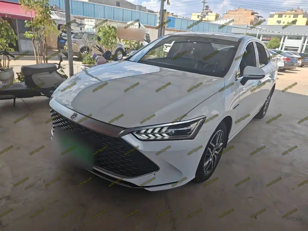 BYD Qin PLUS 2022