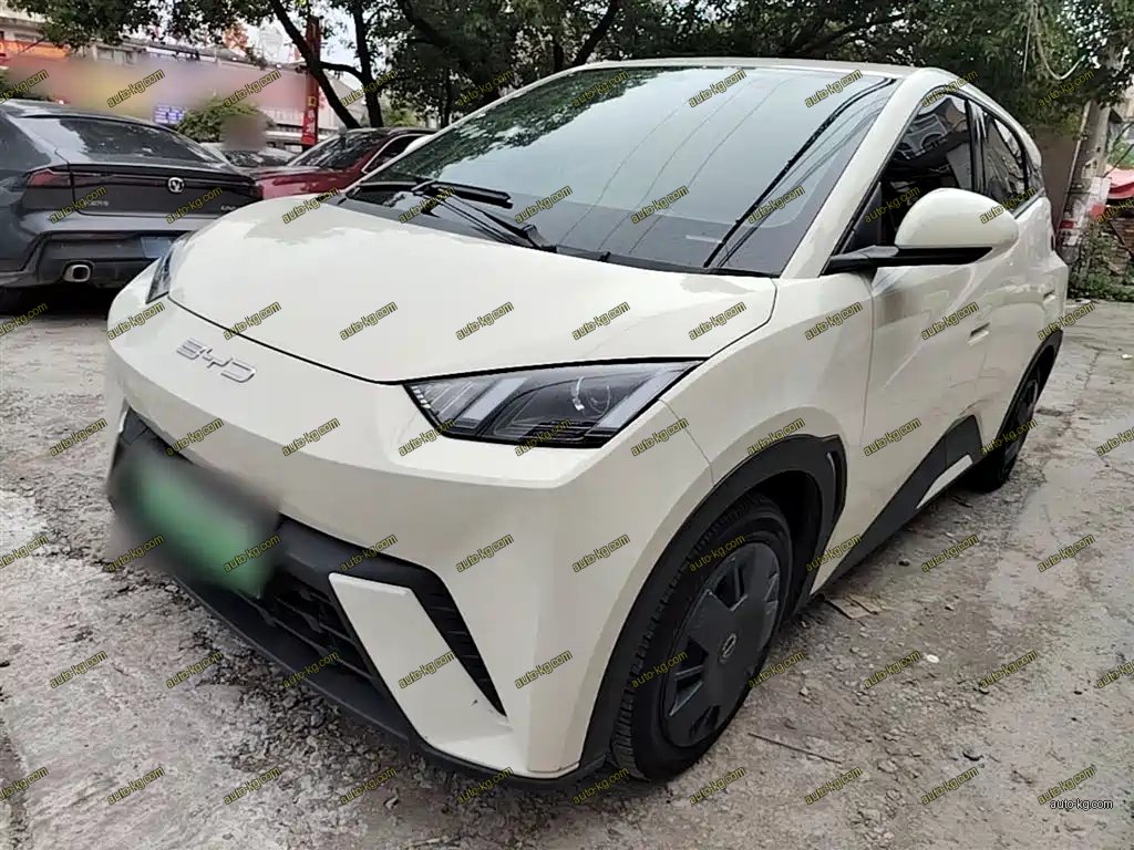 BYD Seagull 2023