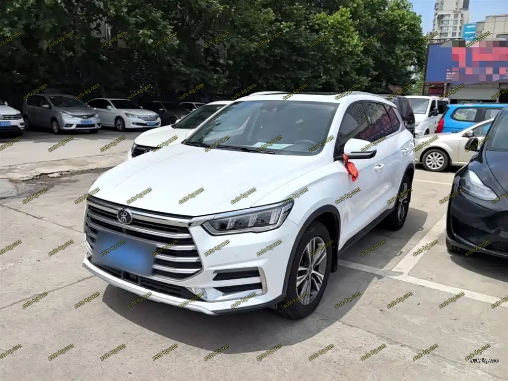 BYD Pro 2020