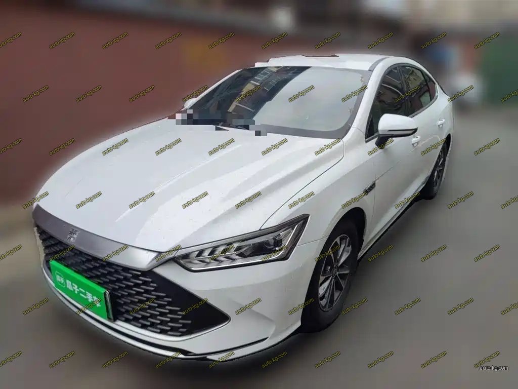 BYD Qin PLUS 2024