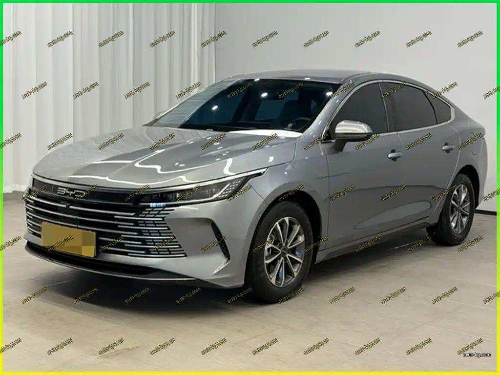 BYD Destroyer 05 2024